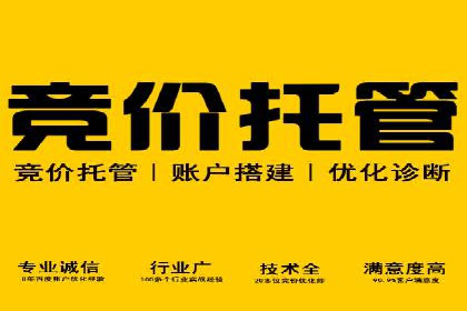 SEM广告创意与执行：成功案例分享